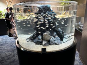 カワスイ川崎水族館