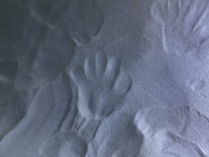 カワスイにあるレンソイスエリアの砂丘
