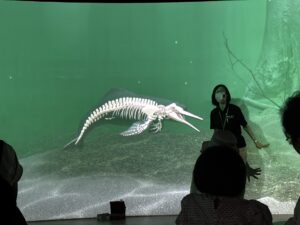 カワスイパノラマスクリーンゾーン