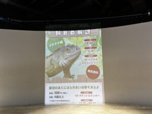 イグアナ飼育員解説
