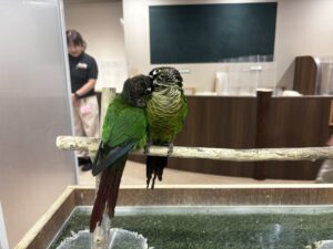 カワスイふれあいパーク