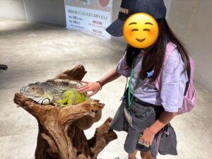 カワスイでイグアナと触れ合う小学生