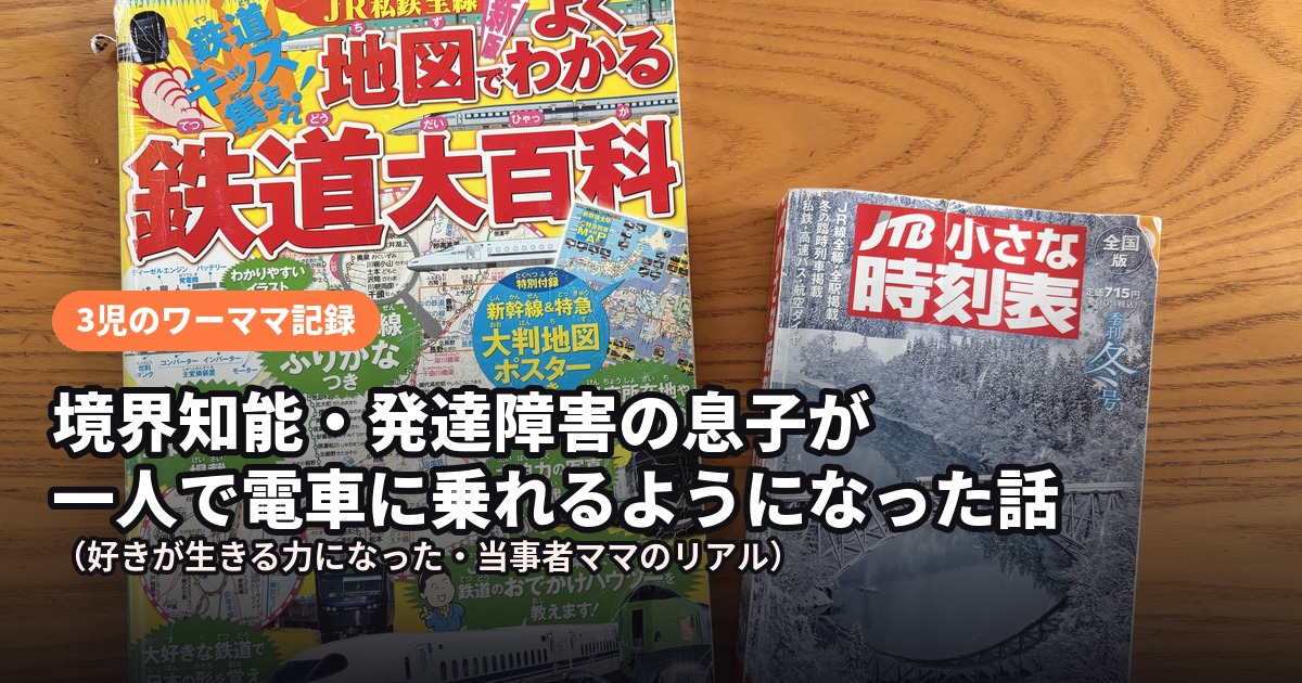 境界知能・発達障害・電車